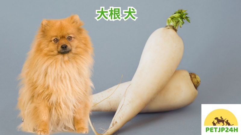 大根 犬