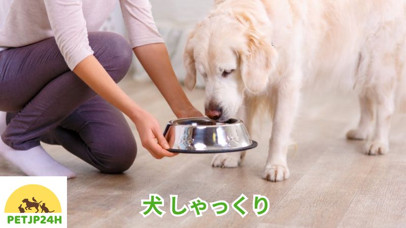 犬 しゃっくり