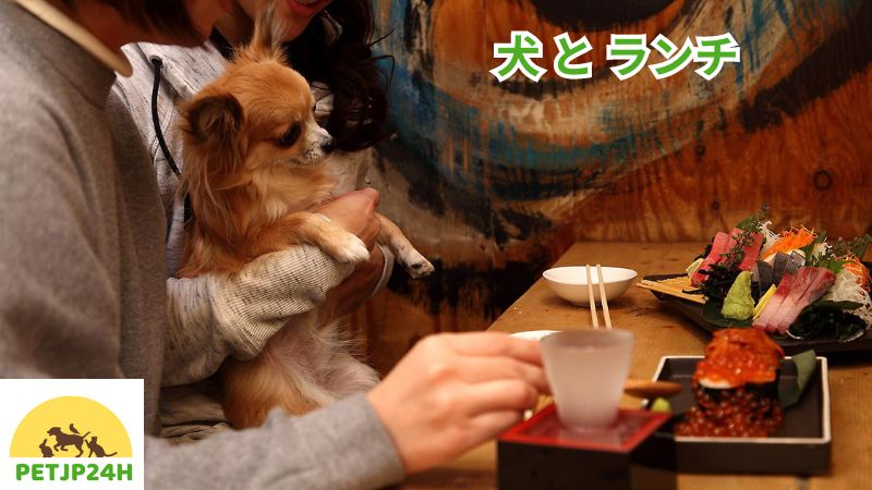 犬 と ランチ