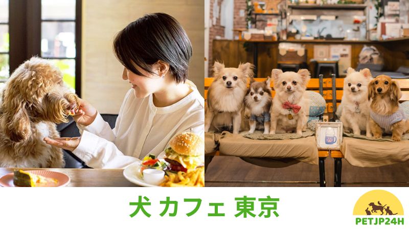 犬 カフェ 東京