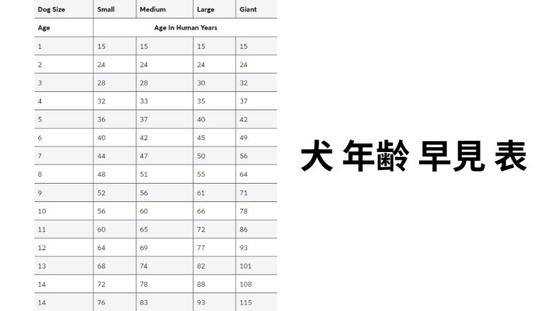 犬 年齢 早見 表