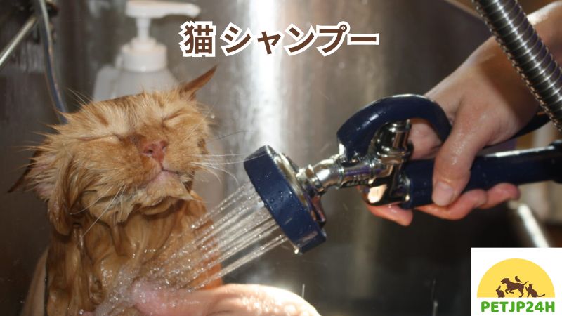 猫 シャンプー